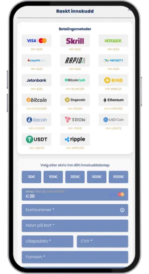 Foretag en indbetaling